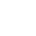 FAA-licensed and insured icon